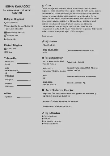 Yönetici Asistanı Cv Örnekleri cv indir